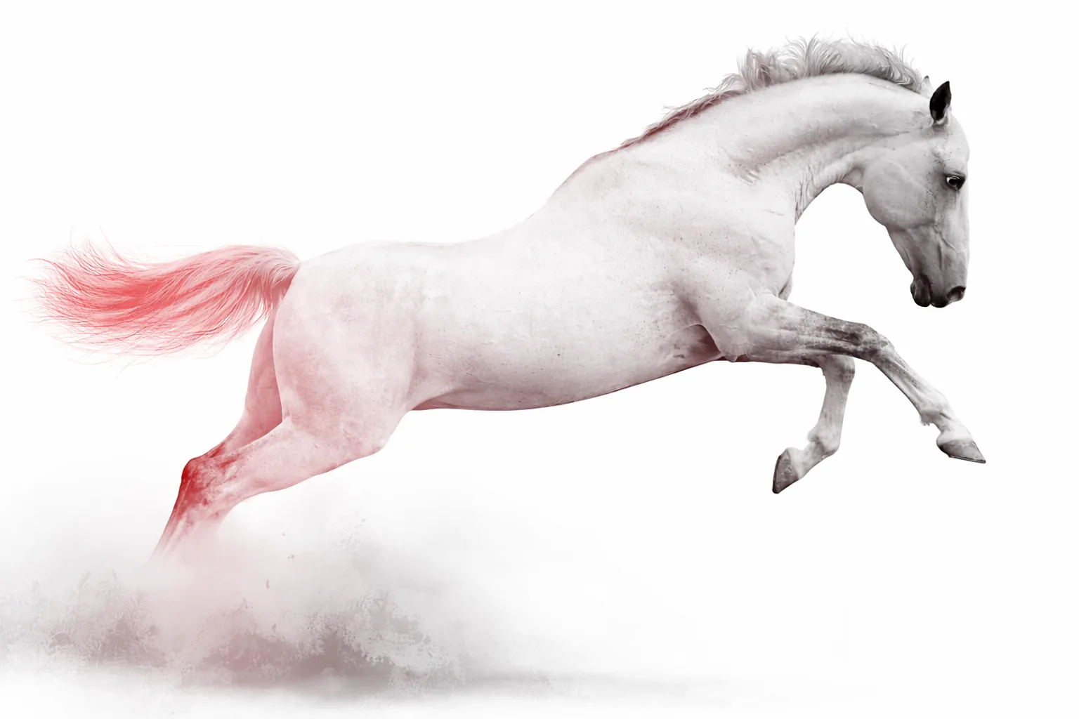 A horse jumping during an outdoor community event.