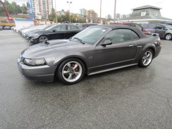 used 2003 mustang gt new westminster bc